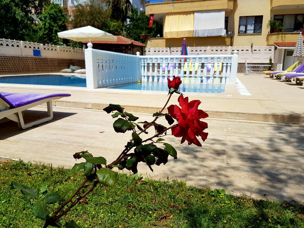 Palmen Apart Hotel Alanya Exterior photo